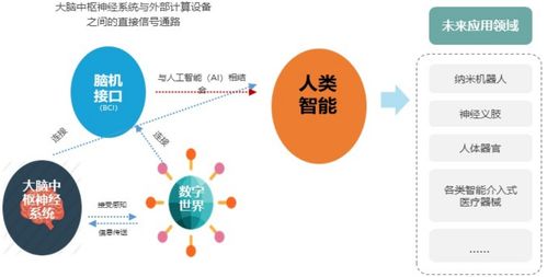 電子信息制造產(chǎn)業(yè)發(fā)展趨勢與網(wǎng)絡(luò)信息技術(shù)開發(fā)熱點領(lǐng)域